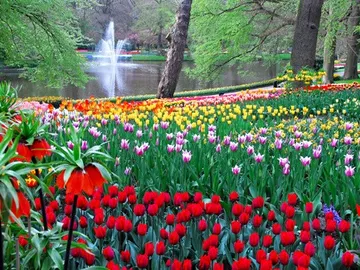 Jardines holandeses Jardines holandeses