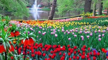 Jardines holandeses