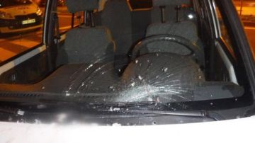 Estado en el que quedó la lucha de un coche tras caerle una merluza congelada