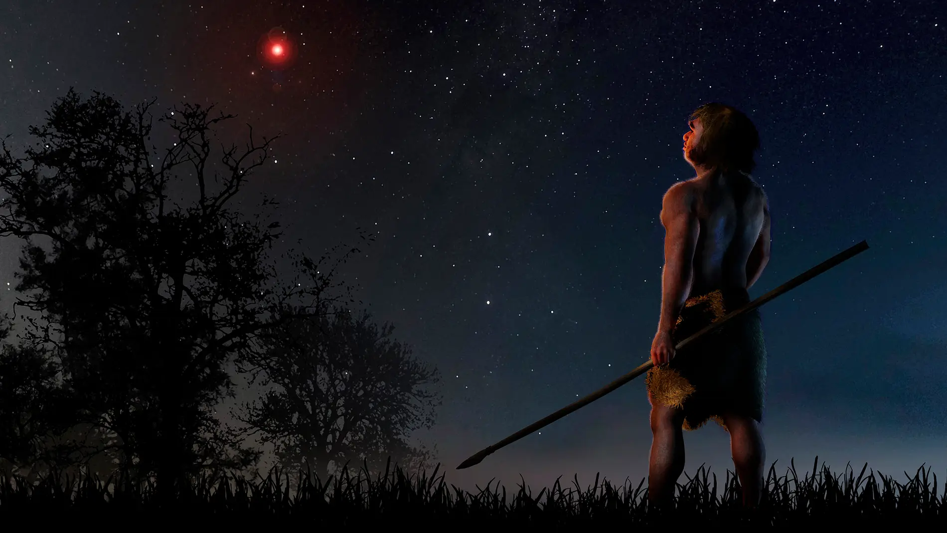 Una estrella perturbo a cometas del sistema solar en la prehistoria