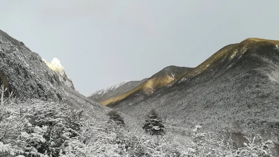 Nieve en los Pirineos Nieve en los Pirineos