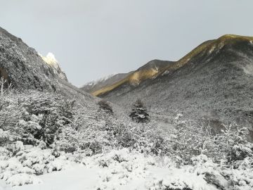 Nieve en los Pirineos