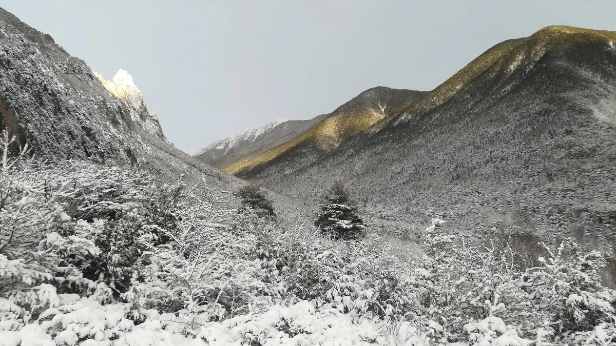 Nieve en los Pirineos