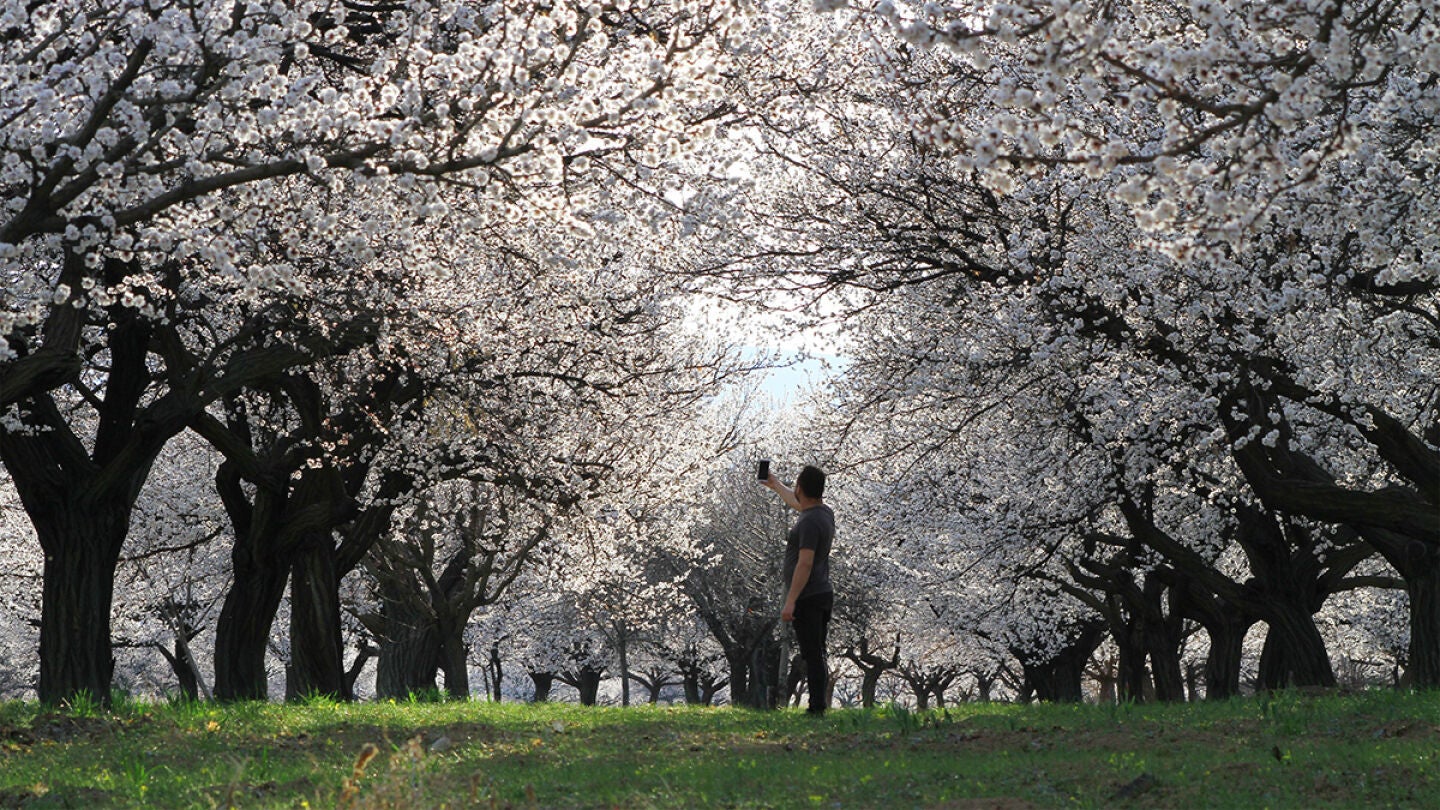 Imagen de archivo de la primavera