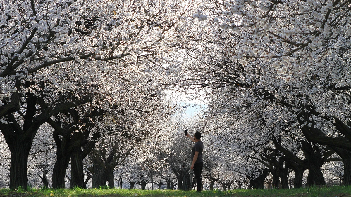 Imagen de archivo de la primavera