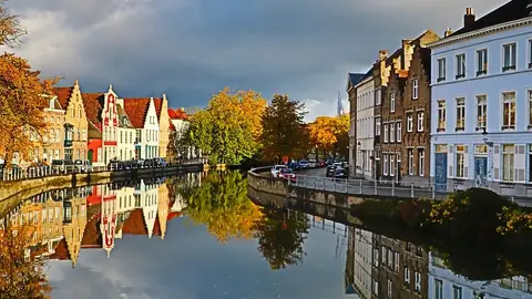 Brujas Brujas