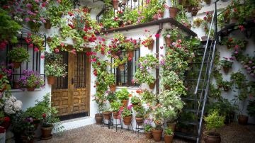 Patio cordobés