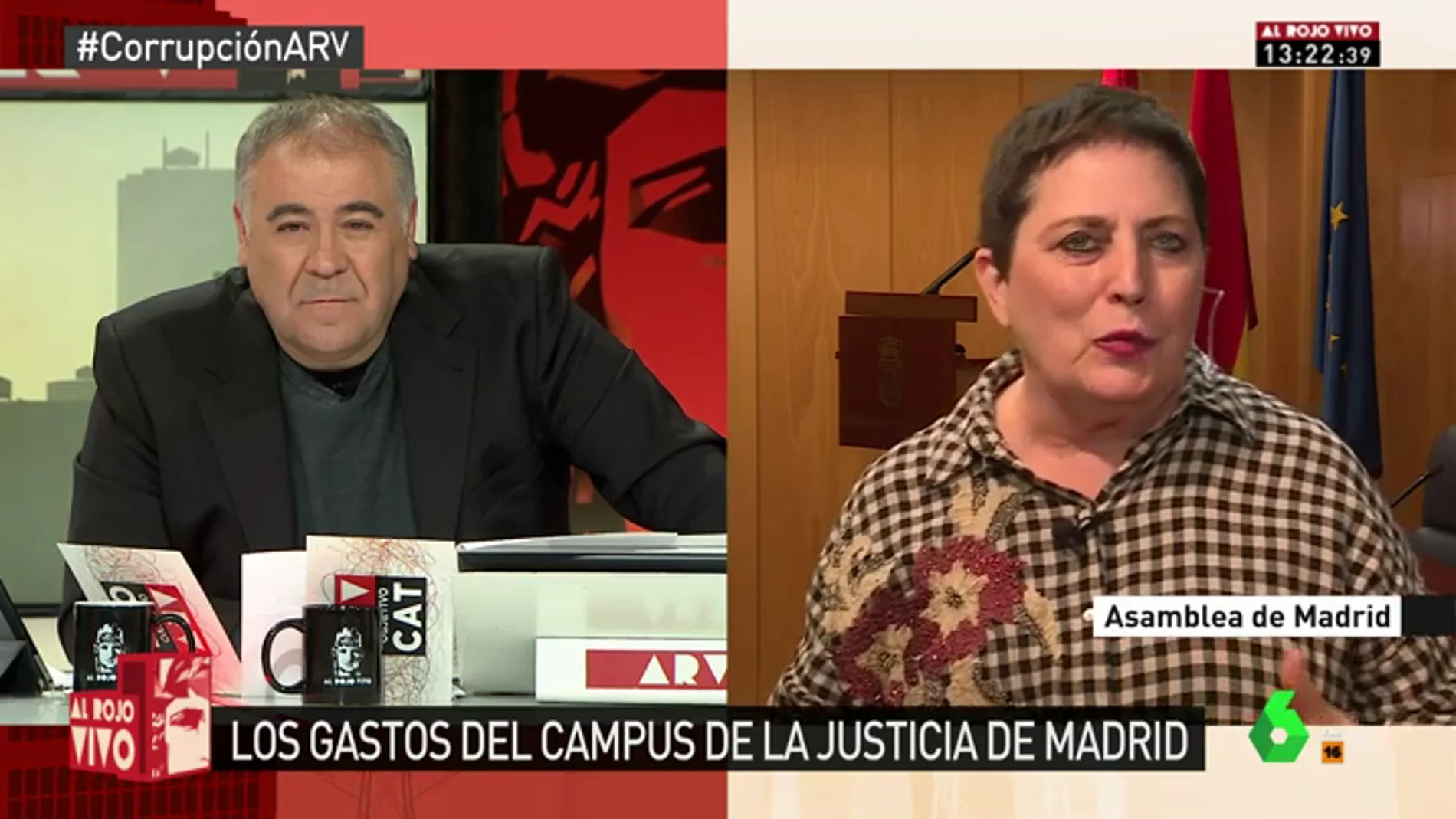 La diputada del PSOE en la Asamblea de Madrid, Mercedes Gallizo