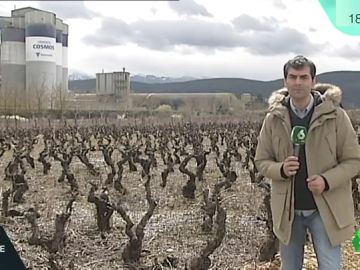 bierzo bierzo