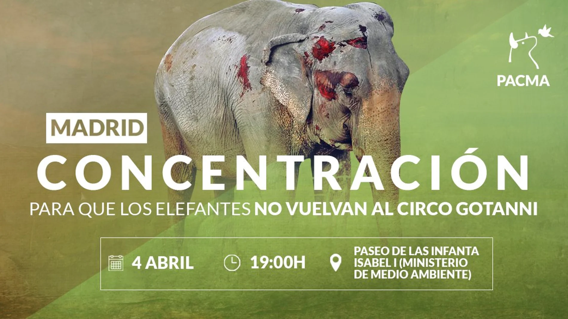 Pacma ha convocado una concentración por los elefantes de Albacete