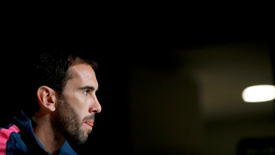 Diego Godín Diego Godín