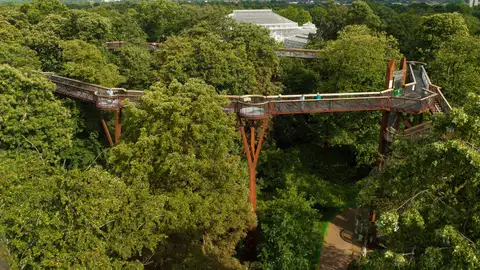 Treetop walkaway Lugares a menos de una hora de Londres que no te puedes perder