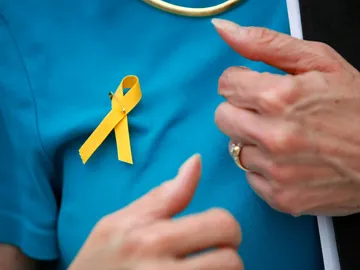 Lazo amarillo Lazo amarillo