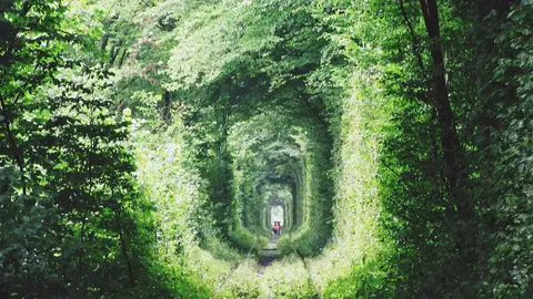 Túnel del amor Túnel del amor