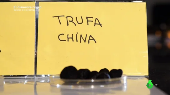 ¿Sabríamos distinguir la trufa española y la china? A simple vista un consumidor medio no podría ¿Sabríamos distinguir la trufa española y la china? A simple vista un consumidor medio no podría