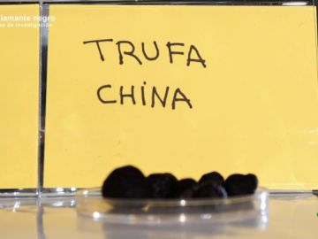 ¿Sabríamos distinguir la trufa española y la china? A simple vista un consumidor medio no podría ¿Sabríamos distinguir la trufa española y la china? A simple vista un consumidor medio no podría