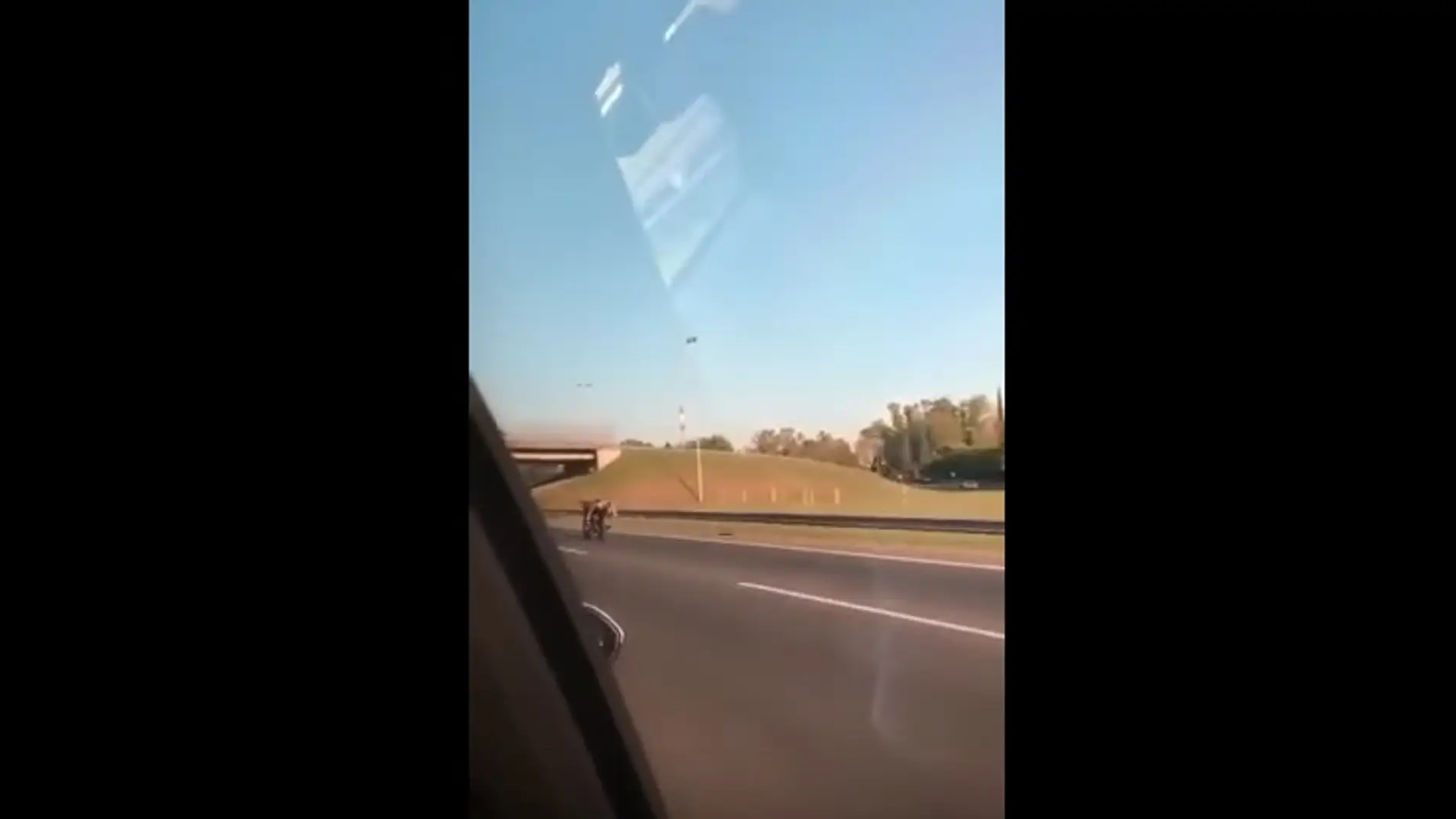 El motero suicida: conduce a 130 Km/h por la autopista con una mano y tumbado ¡De locos!