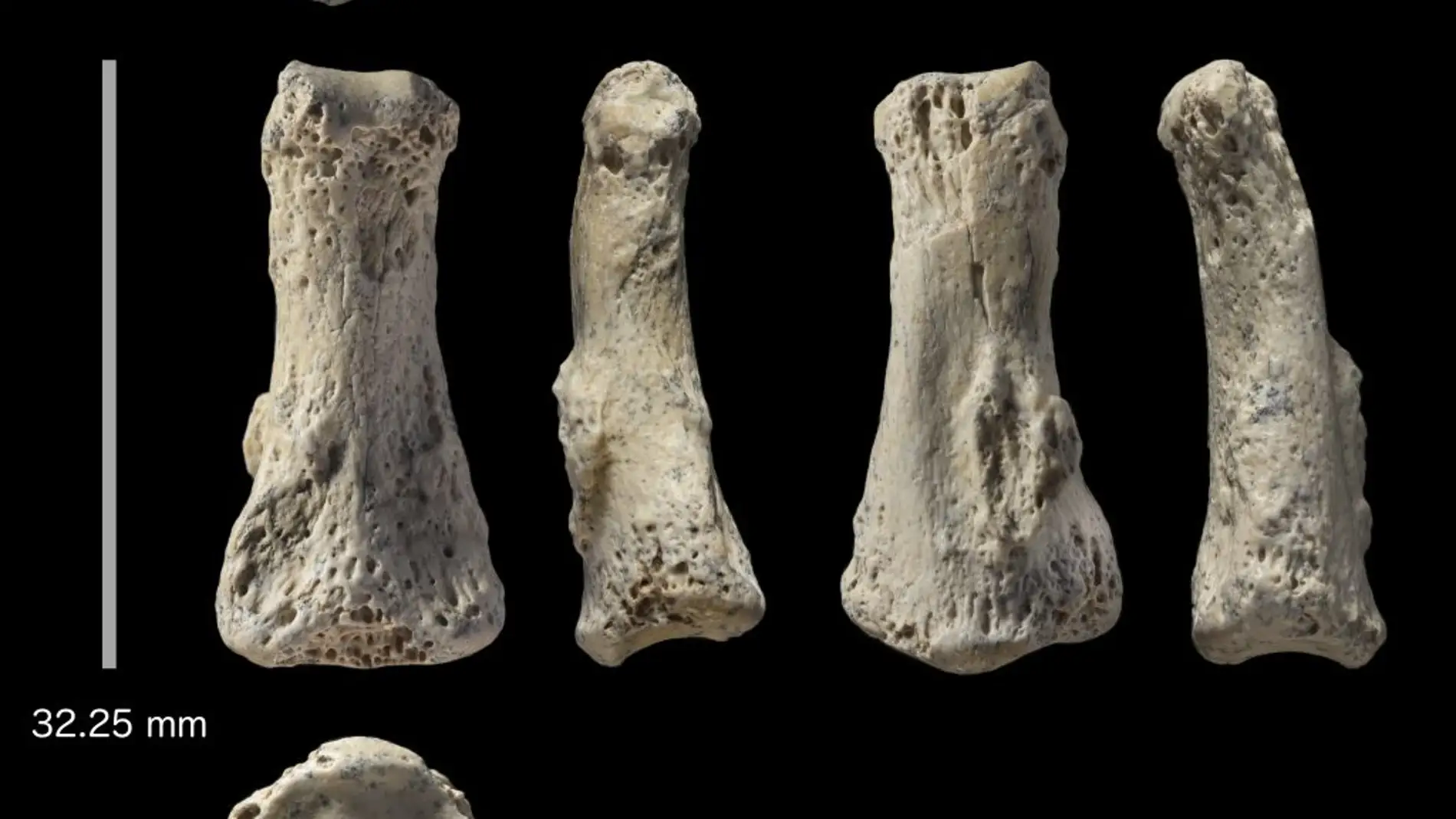 Hallado en Arabia Saudi el fosil de Homo sapiens mas antiguo de Asia