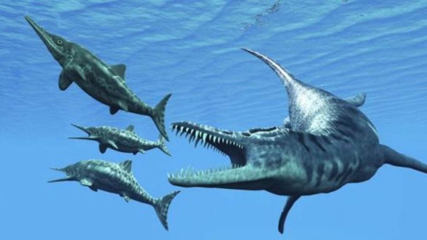 Ictiosaurio