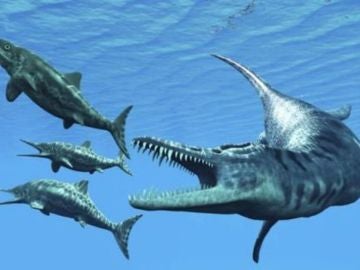 Ictiosaurio Ictiosaurio