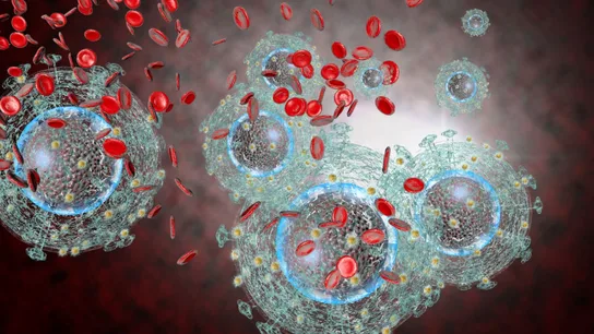 Nuevo agente antirretroviral frente al VIH VIH infectando células
