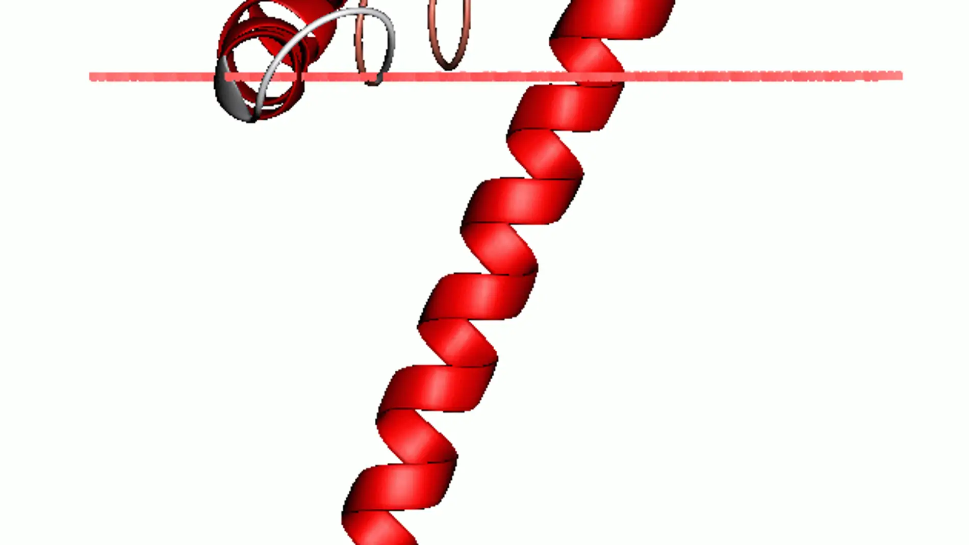 Estructura proteica de una pequeña proteina (stannin)