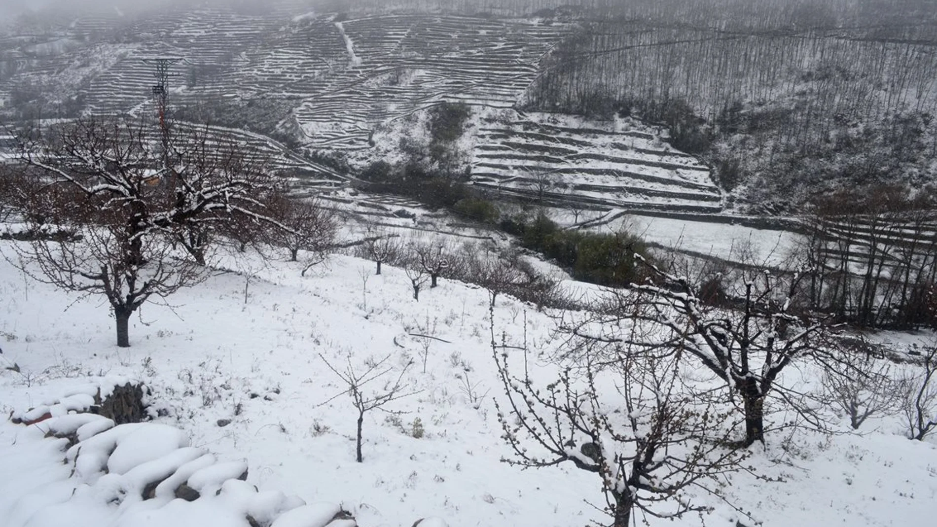  Vista del Valle del Jerte cacereño cubierto de nieve