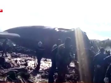 Mueren al menos 257 personas al estrellarse un avión de las Fuerzas Aéreas de Argel Mueren al menos 257 personas al estrellarse un avión de las Fuerzas Aéreas de Argel
