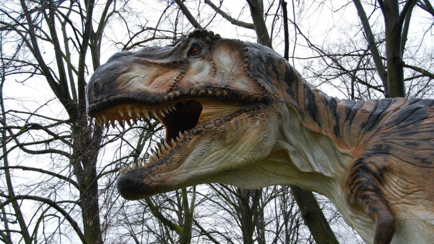 Tiranosaurio Rex