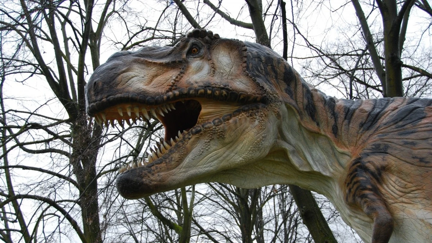 Tiranosaurio Rex Tiranosaurio Rex
