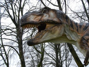 Tiranosaurio Rex Tiranosaurio Rex