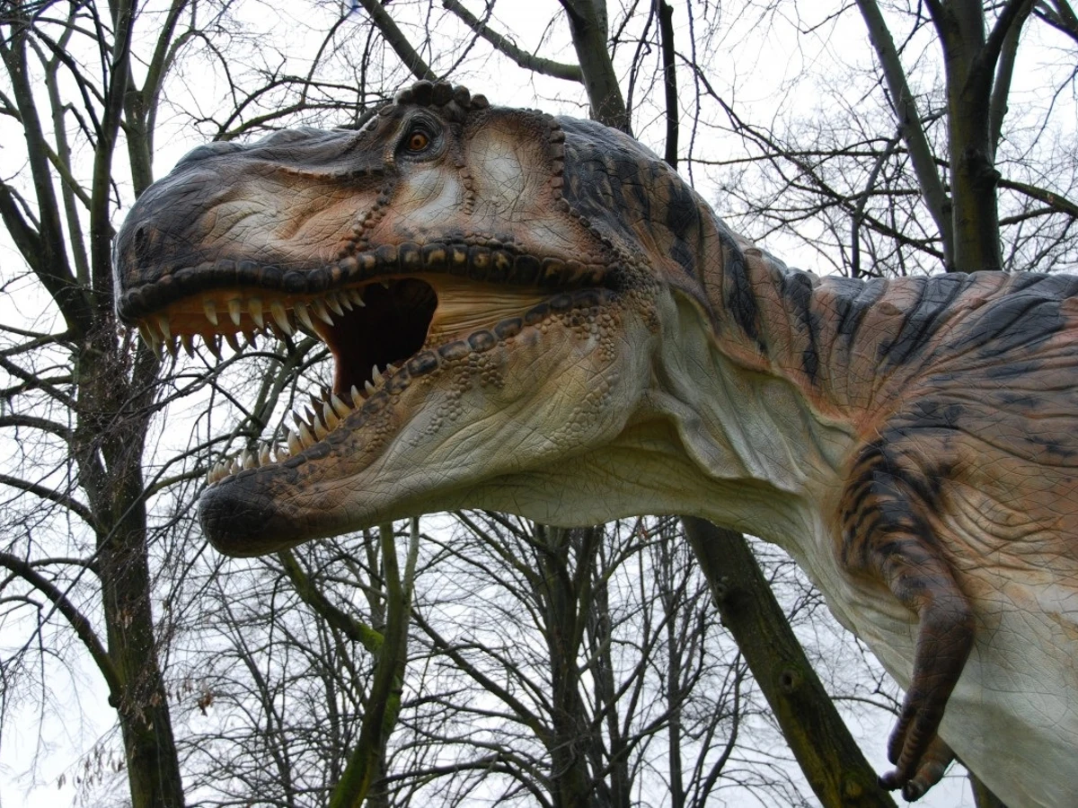Los dinosaurios carnívoros evitaban competir entre ellos y se repartían las  presas