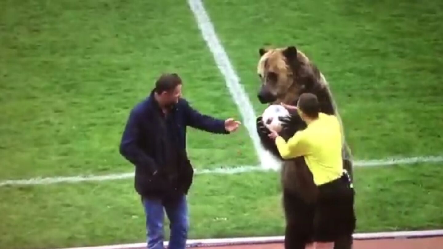 Un oso da el bal&oacute;n a un &aacute;rbitro de f&uacute;tbol
