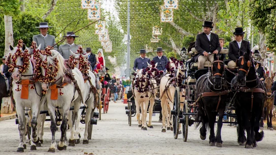 Caballos en la Feria de Abril. Caballos en la Feria de Abril