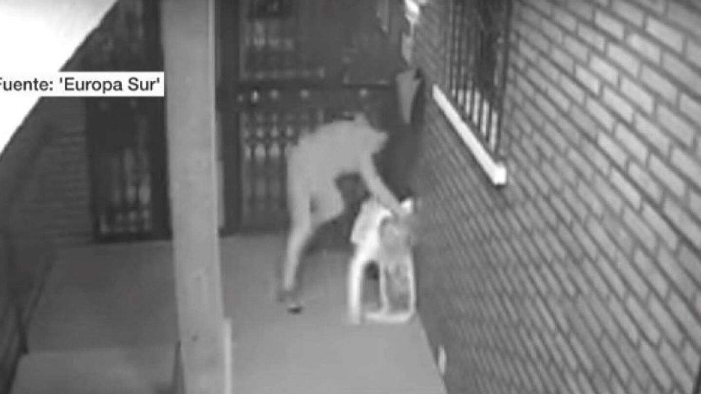 Brutal agresi&oacute;n de un atracador en Algeciras