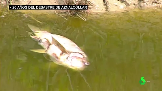 Desastre de Aznalcóllar Desastre de Aznalcóllar