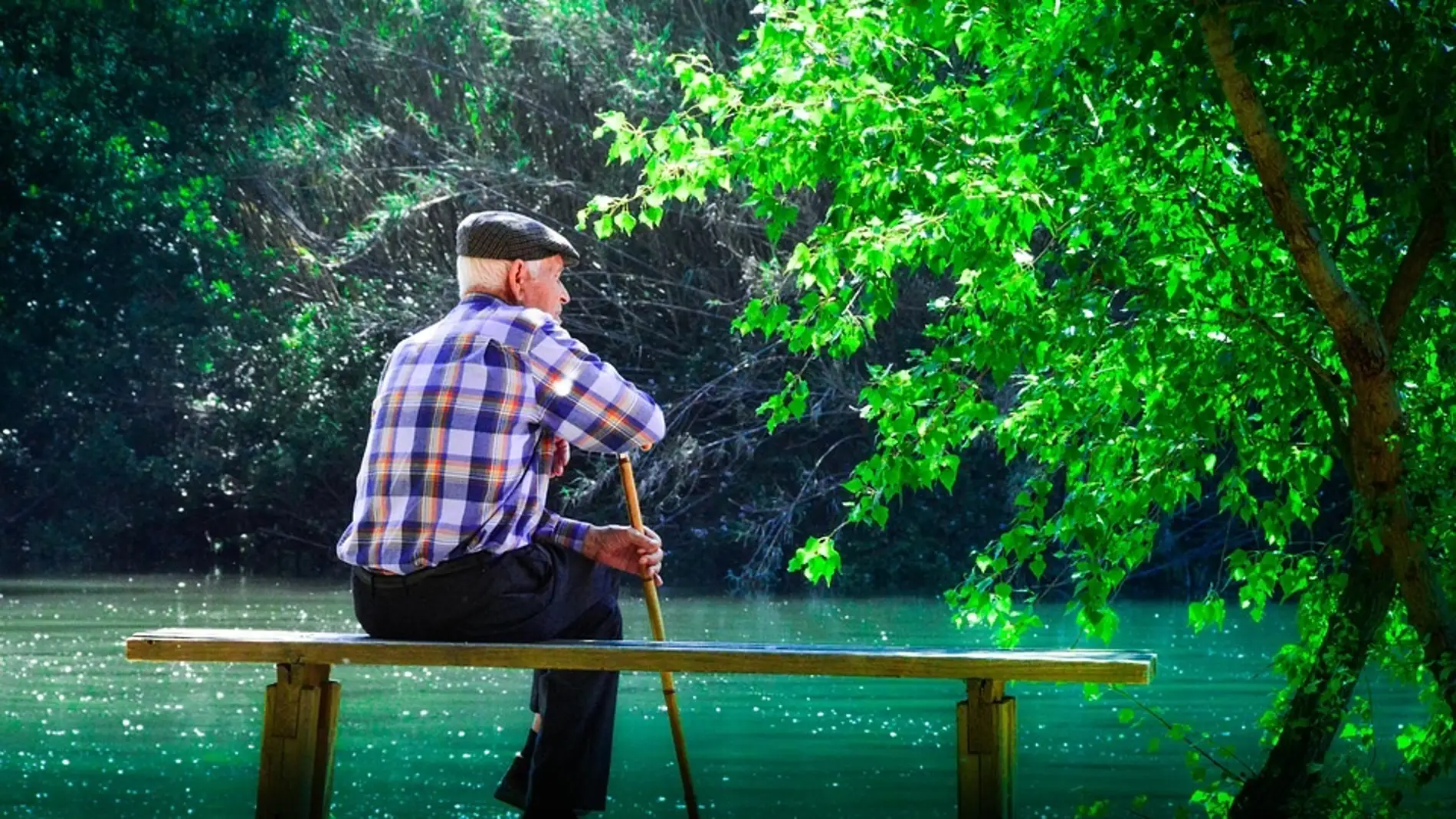Fotografía de un hombre de avanzada edad, con bastón y boina, sentado en un banco frente a un estanque, en un parque.