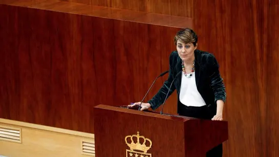 La portavoz de Podemos en la Asamblea de Madrid, Lorena Ruiz-Huerta La portavoz de Podemos en la Asamblea de Madrid, Lorena Ruiz-Huerta