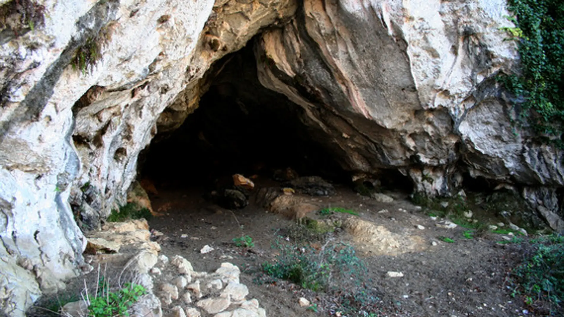 Neandertales y sapiens convivieron menos de mil anos en la region cantabrica