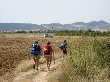 Camino de Santiago Camino de Santiago