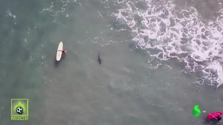 SUSPENDEN UN TORNEO DE SURF POR EL ATAQUE DE TIBURONES