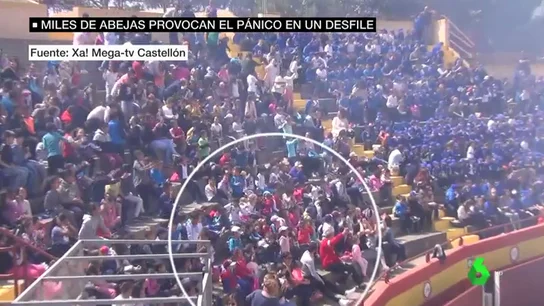 Un enjambre de abejas ataca a un grupo de escolares durante un espectáculo en Oropesa del Mar Un enjambre de abejas ataca a un grupo de escolares durante un espectáculo en Oropesa del Mar