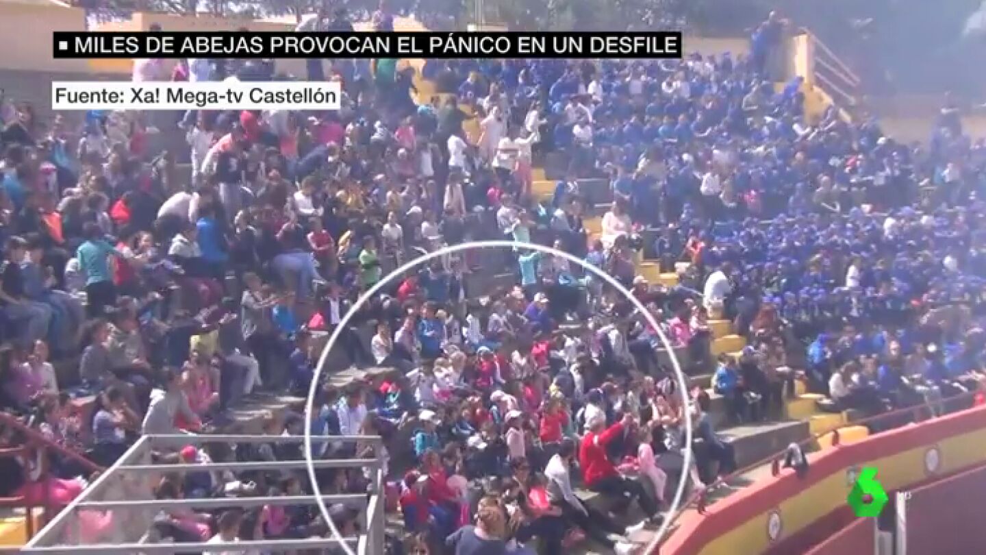 Un enjambre de abejas ataca a un grupo de escolares durante un espect&aacute;culo en Oropesa del Mar