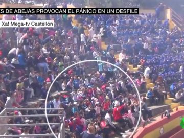 Un enjambre de abejas ataca a un grupo de escolares durante un espectáculo en Oropesa del Mar Un enjambre de abejas ataca a un grupo de escolares durante un espectáculo en Oropesa del Mar