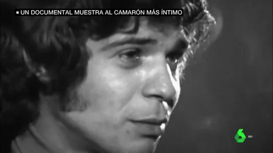 camaron camaron