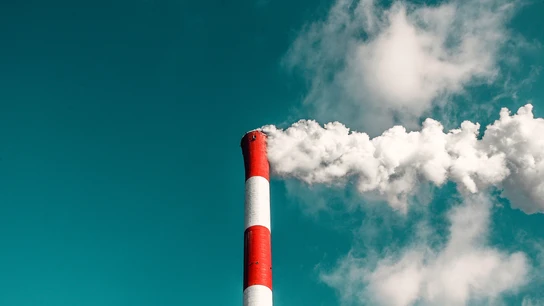 Contaminación Contaminación