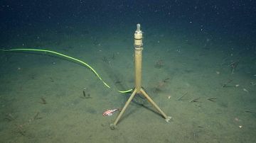El micrófono instalado en el fondo del Pacífico