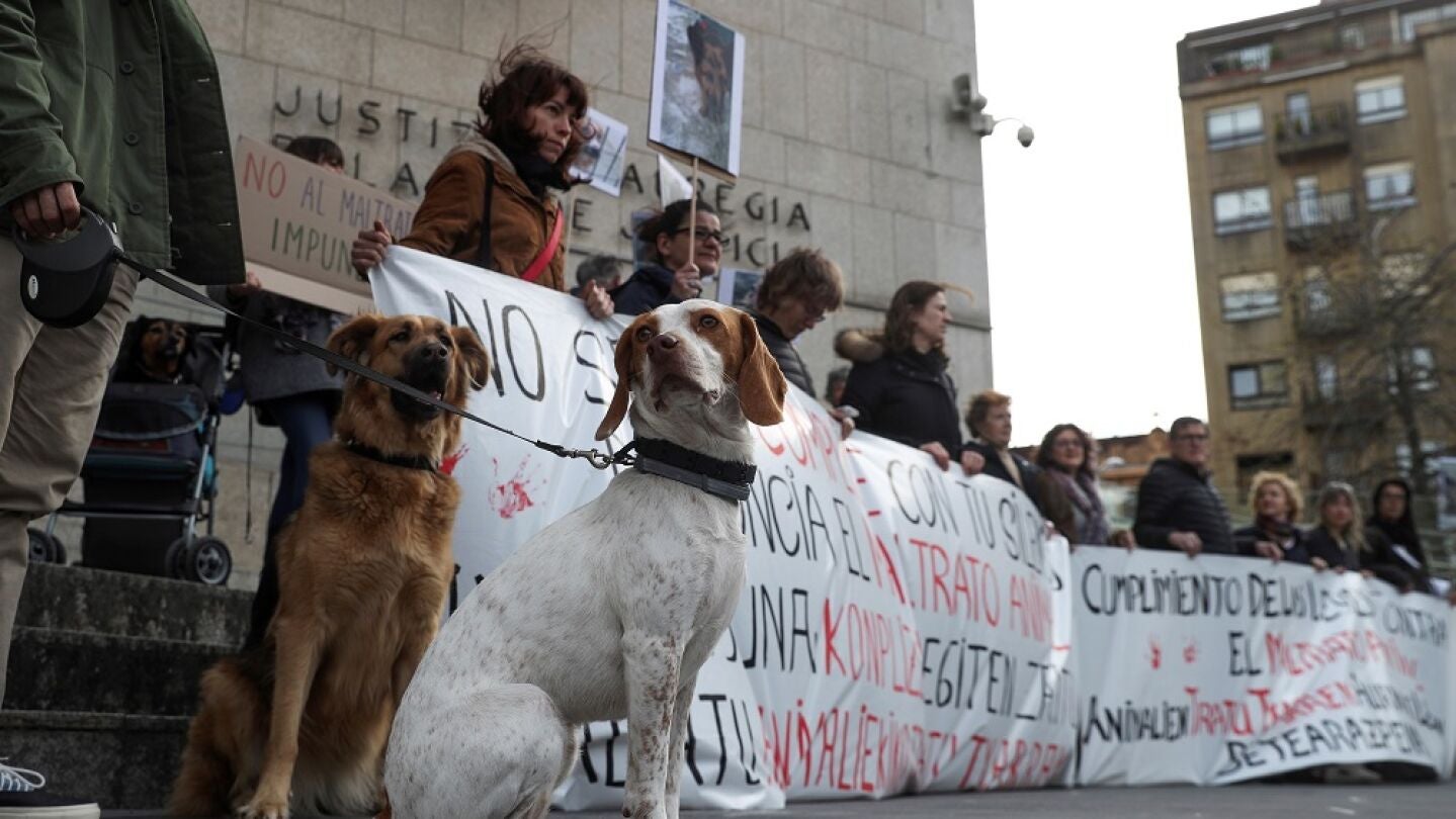Defensa de los animales