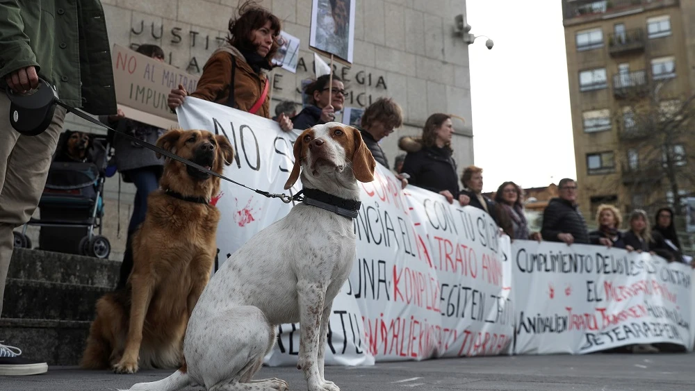 Defensa de los animales