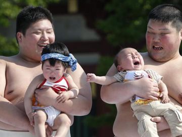 Naki Sumo, el festival de los bebés llorones Naki Sumo, el festival de los bebés llorones